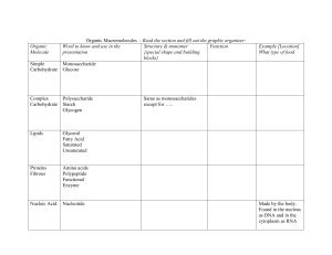 Organic Macromolecules Graphic Organizer