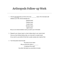 Arthropods Follow-up Work Worksheet