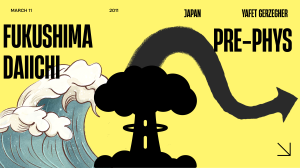 Fukushima Daiichi Nuclear Disaster 2011: Causes & Impact