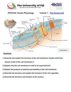 PHYS102 Human Physiology Tutorial 1: The Human Cell