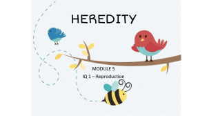 Heredity Module 5: Reproduction - Educational Guide