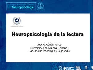 Neuropsicolog&iacute;a de la lectura: Bases y dificultades