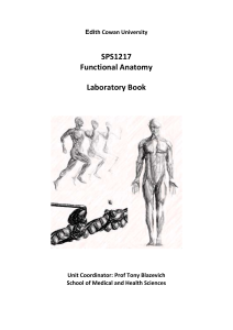 Edith Cowan University Functional Anatomy Lab Book