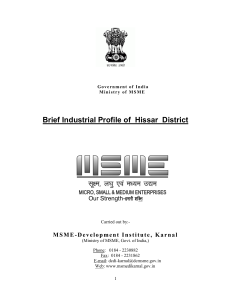 Brief Industrial Profile of Hissar District - MSME Report