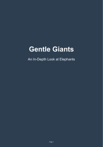 Gentle Giants: An In-Depth Look at Elephants