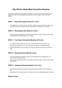 Hip-Pelvis-Glute Med Corrective Routine