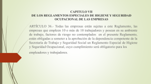 Reglamento Especial de Higiene y Seguridad Ocupacional