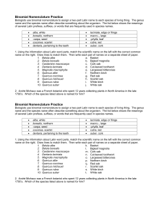 Binomial Nomenclature Practice Worksheet