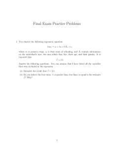 Final Exam Practice Problems: Economics & Labor Economics