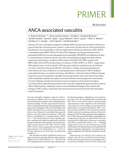 ANCA-Associated Vasculitis: A Scientific Primer