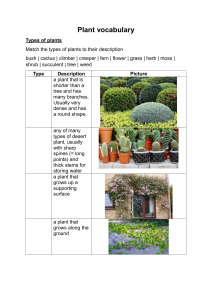 Plant Vocabulary Worksheet: Types of Plants Matching Exercise