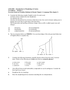 LING1002 Week 4 Tutorial: Morphology & Syntax Exercises
