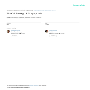 Cell Biology of Phagocytosis: Mechanisms & Pathogens