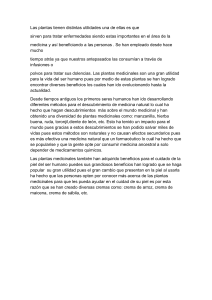 Utilidades de las plantas medicinales