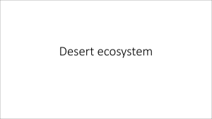Desert Ecosystem Educational Guide