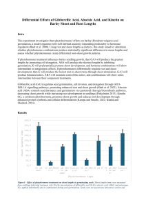 Phytohormone Effects on Barley Shoot and Root Growth