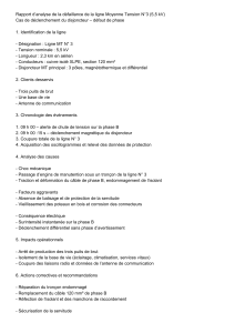Rapport d'analyse - D&eacute;faillance ligne moyenne tension
