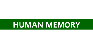Human Memory: Multi-Store Model & Learning Process