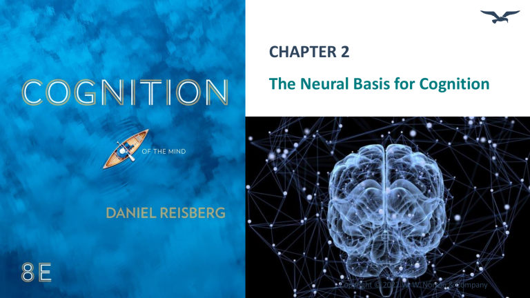 Chapter 2: The Neural Basis for Cognition