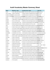 Audit Vocabulary Summary Sheet