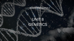 Biology Semester 2 Unit 8: Genetics - Mendelian Genetics Basics