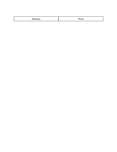 Glucose and Starch Structure Worksheet