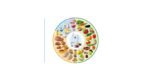 Ern&auml;hrung und Sprache: &Uuml;bungen zum Lieblingsgericht und Ern&auml;hrungspyramide