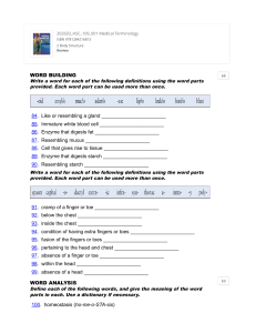Medical Terminology Body Structure Review Exercises