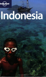 Lonely Planet Indonesia Travel Guide - History, Culture, Destinations
