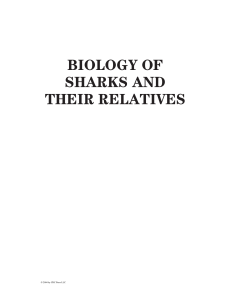 Biology of Sharks and Their Relatives