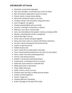 Vocabulary 1st Partial: Word Definitions List
