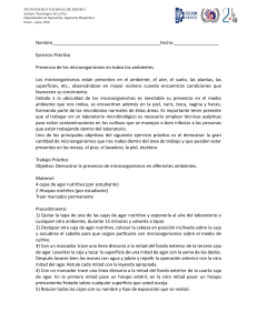 Ejercicio pr&aacute;ctico: Presencia de microorganismos en ambientes