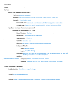 Unit II Review: Cell Parts & Staining