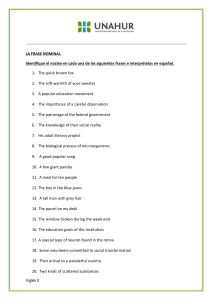 Nominal Phrase Exercise: Identify Nuclei & Translate to Spanish