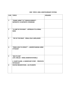 CME Topics 2026 Genitourinary System Agenda