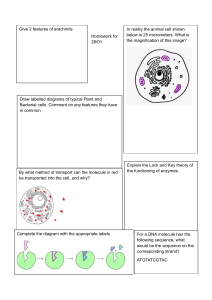 Biology Homework: Cells, Enzymes, DNA, Photosynthesis