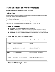 Fundamentals of Photosynthesis - High School Biology