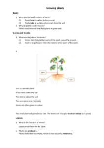 Growing Plants: Roots, Stems, Leaves, Flowers
