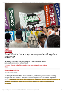 Bam! What is the Bel&eacute;m Action Mechanism at Cop30?