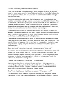 The Wind and the Unfrozen Lake: Environmental Reflection