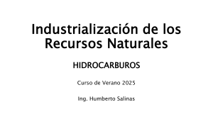 Industrializaci&oacute;n de los Recursos Naturales: Hidrocarburos - Curso 2025