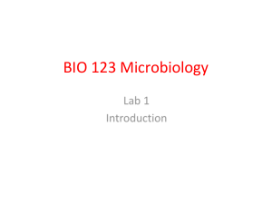 BIO 123 Microbiology Lab 1 Introduction Guide