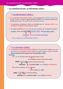 Les expansions du nom : la subordonn&eacute;e relative