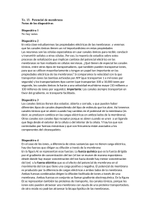 Potencial de membrana: notas de diapositivas sobre propiedades el&eacute;ctricas de membranas
