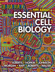 Essential Cell Biology 5th Edition Textbook