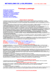 Metabolismo de la Bilirrubina - Dr. E. Orfei
