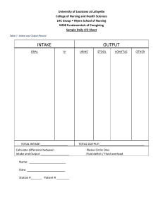 Sample Daily I/O Sheet for Nursing Students