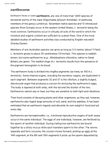 Earthworm: Annelid, Burrowing & Soil Fertility | Britannica