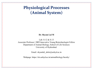 Physiological Processes (Animal System) Syllabus