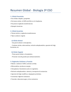 Resumen Biolog&iacute;a 3&ordm; ESO: C&eacute;lulas, Tejidos, Enfermedades
